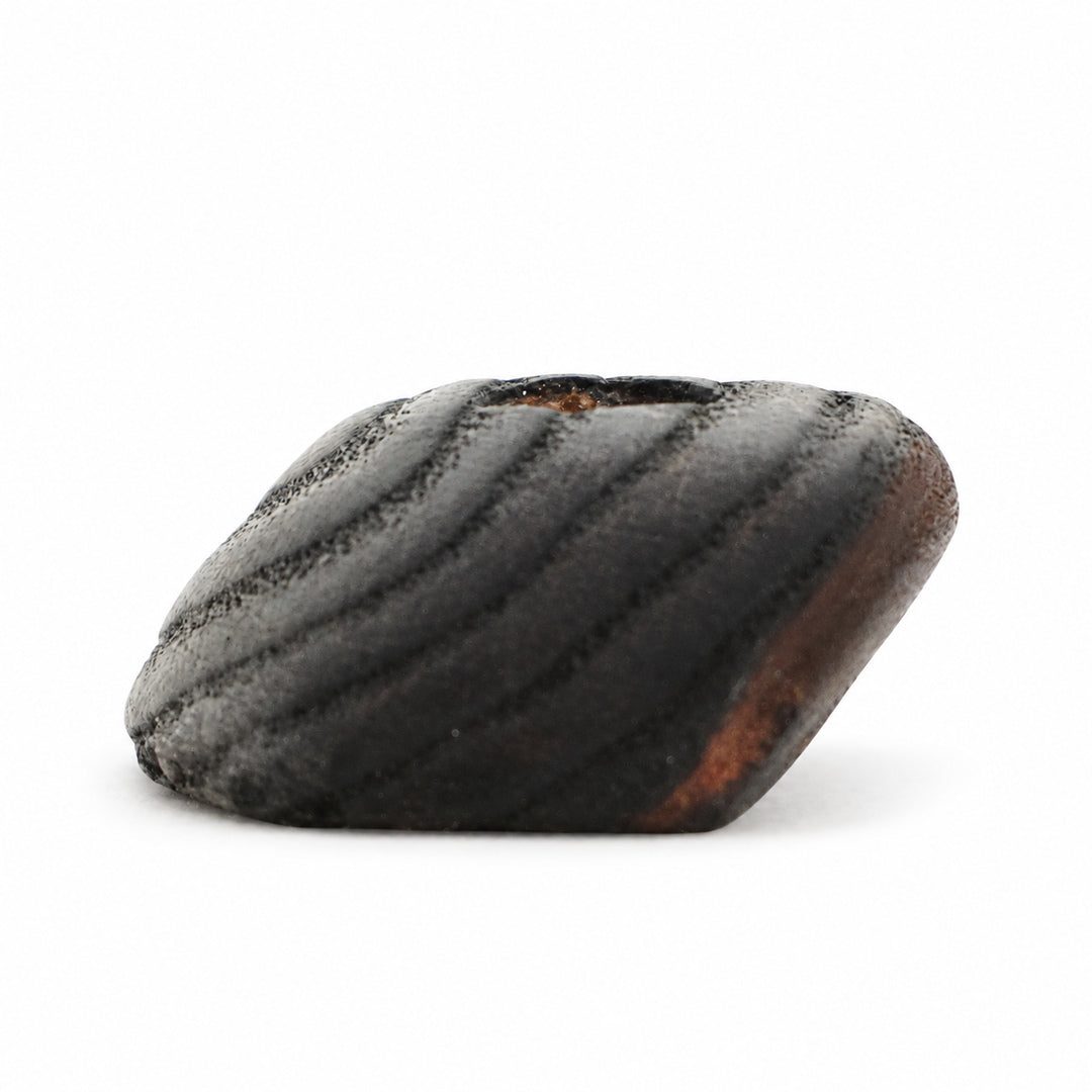 Yakisugi Beech Crimp